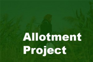 Allotment Project -13